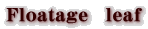 Floatage　leaf