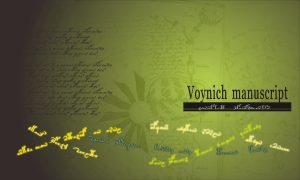 ヴォイニッチ壁紙