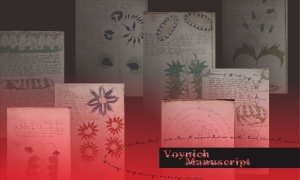 ヴォイニッチ手稿の壁紙