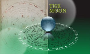 ヴォイニッチ壁紙