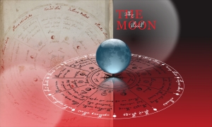 voynich manuscript wallpaper