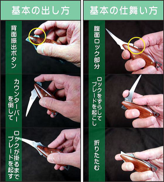 フォールディンググリーンフォーク